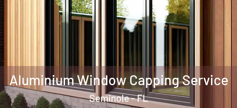  Aluminium Window Capping Service Seminole - FL