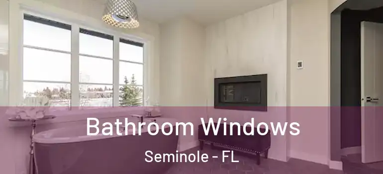  Bathroom Windows Seminole - FL