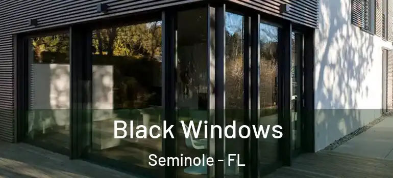  Black Windows Seminole - FL