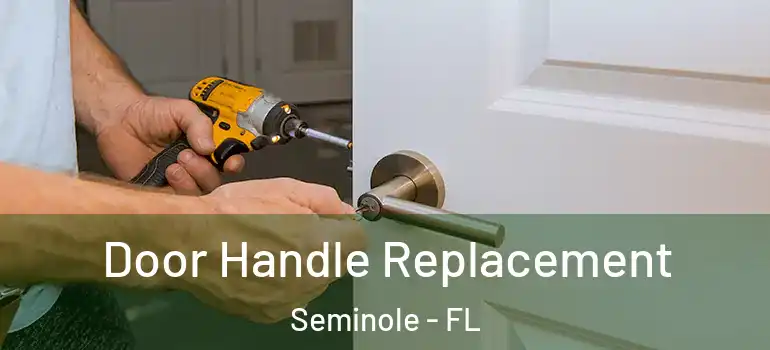  Door Handle Replacement Seminole - FL