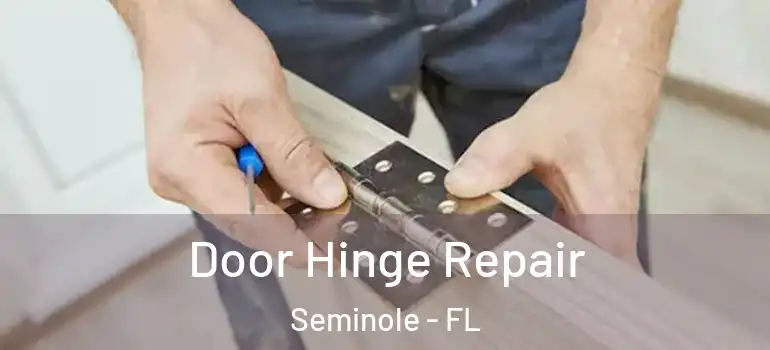  Door Hinge Repair Seminole - FL