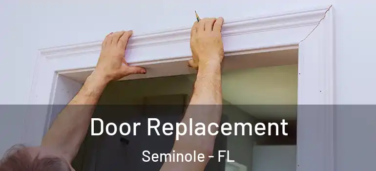  Door Replacement Seminole - FL