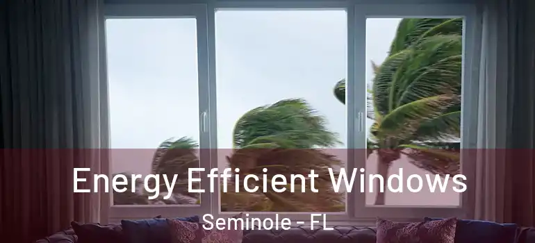  Energy Efficient Windows Seminole - FL