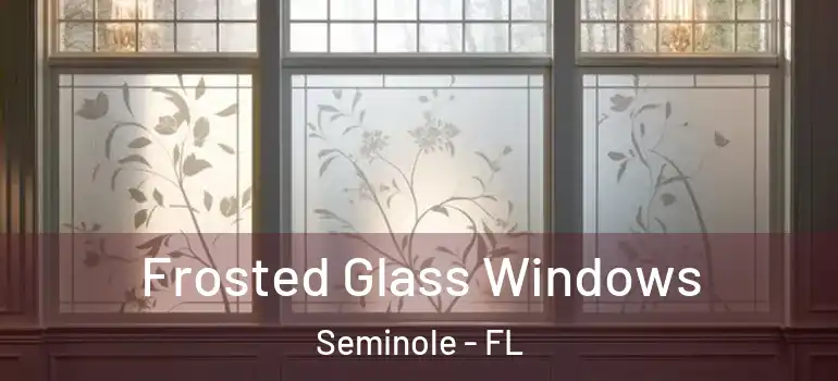  Frosted Glass Windows Seminole - FL