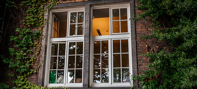 Energy Efficient Wood Windows in Seminole, FL