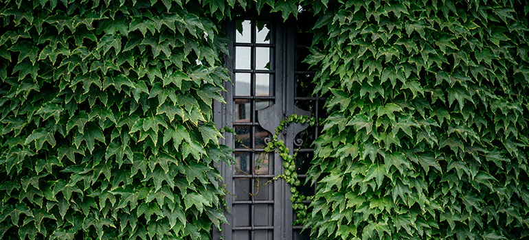 Garden Gate Repair in Seminole, FL
