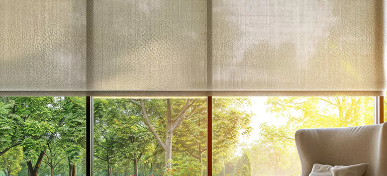 Custom Window Shades in Seminole, FL