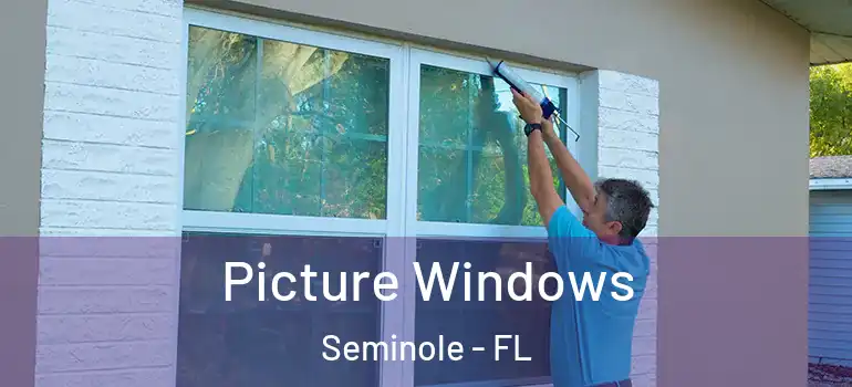  Picture Windows Seminole - FL
