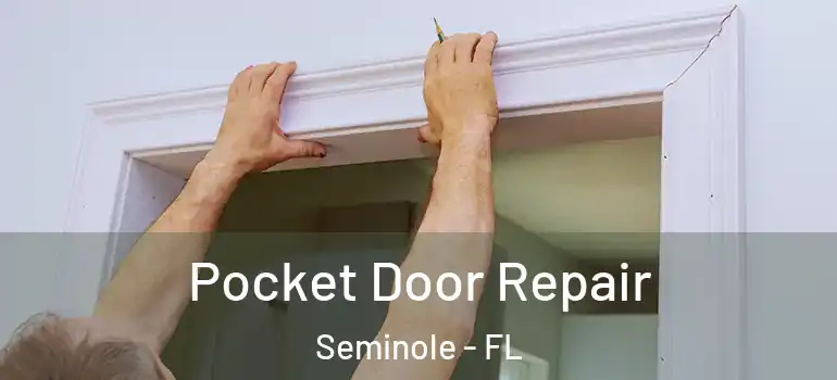  Pocket Door Repair Seminole - FL