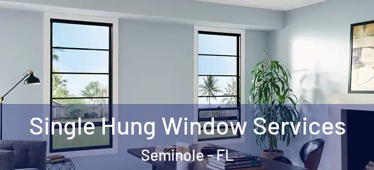  Single Hung Window Services Seminole - FL