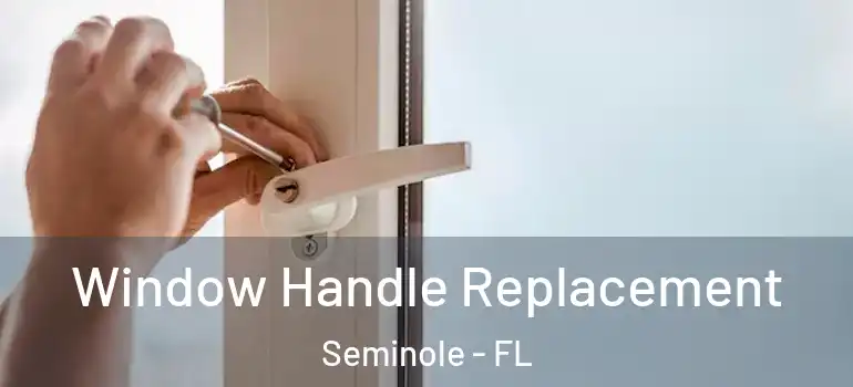  Window Handle Replacement Seminole - FL
