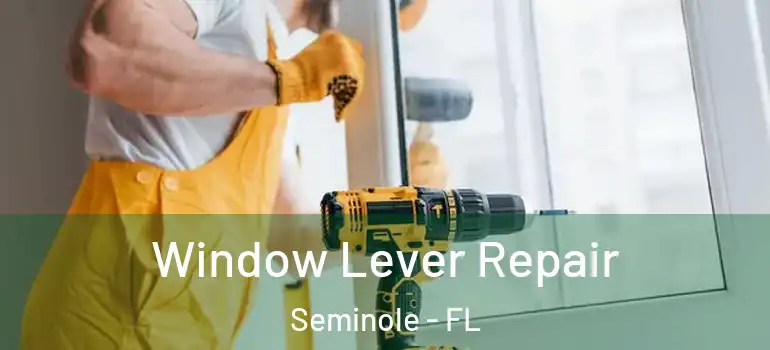  Window Lever Repair Seminole - FL