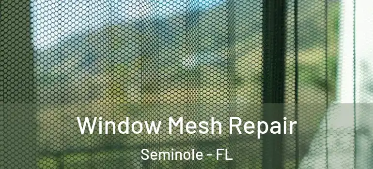  Window Mesh Repair Seminole - FL