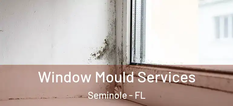  Window Mould Services Seminole - FL