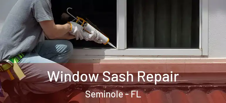  Window Sash Repair Seminole - FL